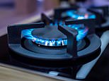 29781294-0-image-m-12_1592492274541.jpg