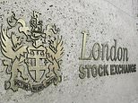 29929850-0-image-m-28_1592860019209.jpg