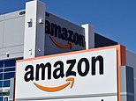31610272-0-image-m-11_1596659696159.jpg