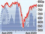 31692570-0-image-m-4_1596830926802.jpg