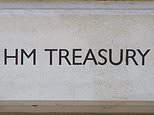 31831478-0-image-m-4_1597167603778.jpg