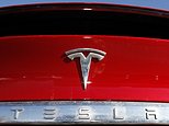 32705280-0-Baillie_Gifford_has_cashed_in_a_chunk_of_its_shares_in_electric_-a-7_1600336303444.jpg