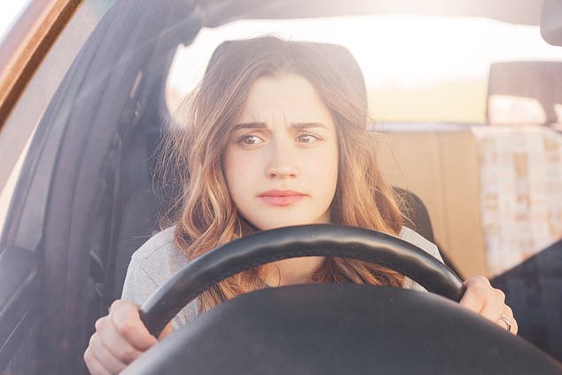 A number of young drivers said having a T-plate would make them more confident driving