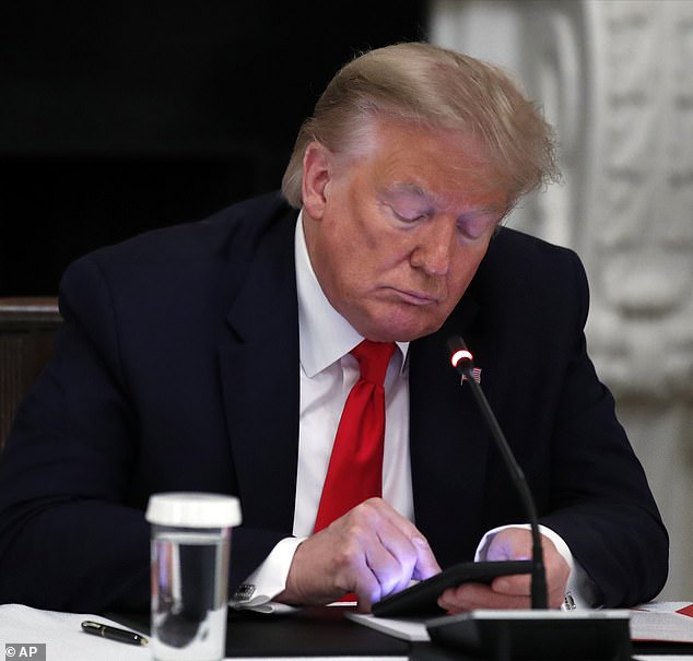 Finger on the pulse: Critics of the app ¿ including Donald Trump's administration ¿ argue that the Chinese state could get its hands on user data