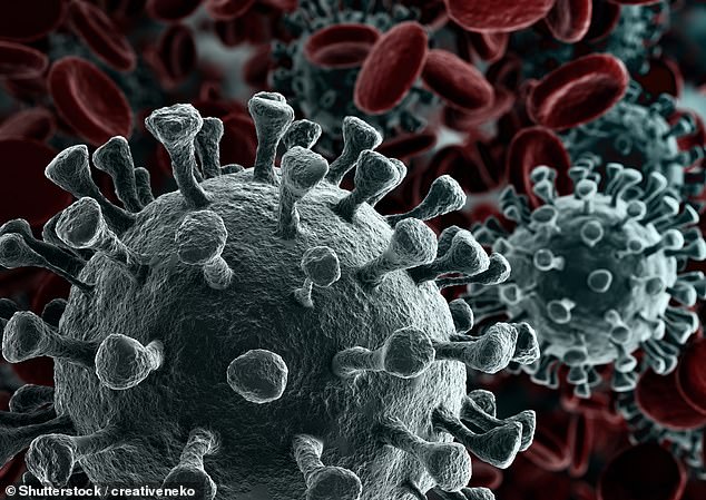 Meeting the challenge: The two most effective treatments for Covid-19, which have brought down death rates and eased the damage to patients, are products of UK scientists