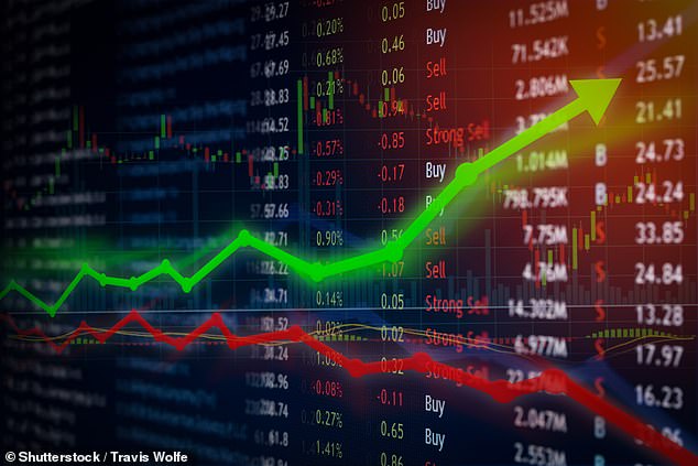Safer bet: As well as established FTSE companies, LifeStrategy funds also invest in government bonds and gold - assets that tend to be much less affected by economic turmoil
