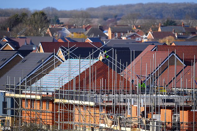 Going up: Redrow and Galliford yesterday revealed plans to resume their divis and said they expected to return to profitability as demand returned to the sector