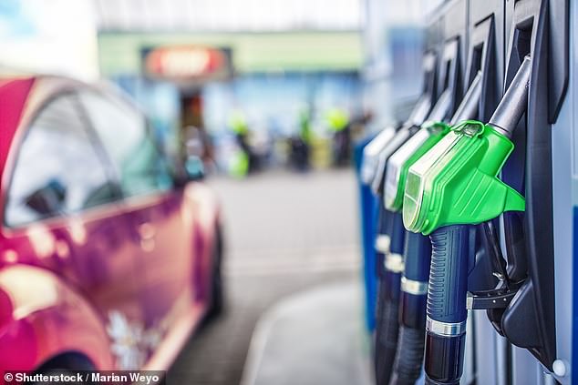 New petrol, diesel and hybrid cars should be banned from 2030, the Labour Party has said in a letter to transport minister Grant Shapps