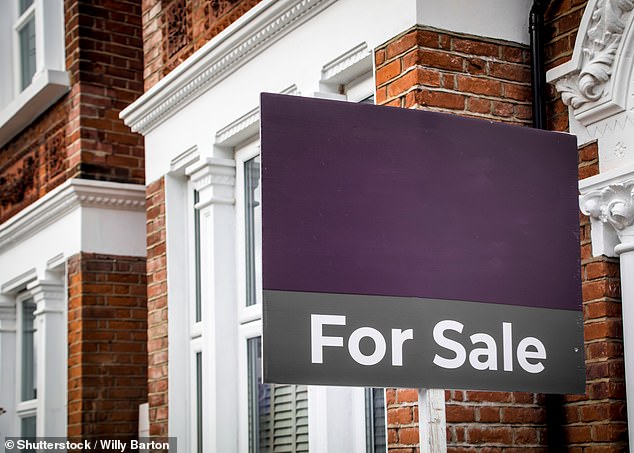 At home: Sources said banks are failing to cope with a sharp rise in applications because so many staff are working from their kitchen tables