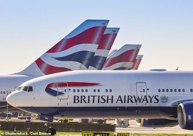 Survival bid: BA cabin crew overwhelmingly voted in favour of pay deals negotiated between BA and trade unions