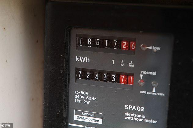 Energy bills could soar by nearly 20 per cent this autumn and winter for those working from home five days a week, according to comparison site energyhelpline