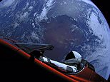 33498992-0-image-m-4_1600809644126.jpg