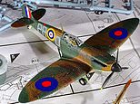 33544032-0-image-m-3_1600893975240.jpg