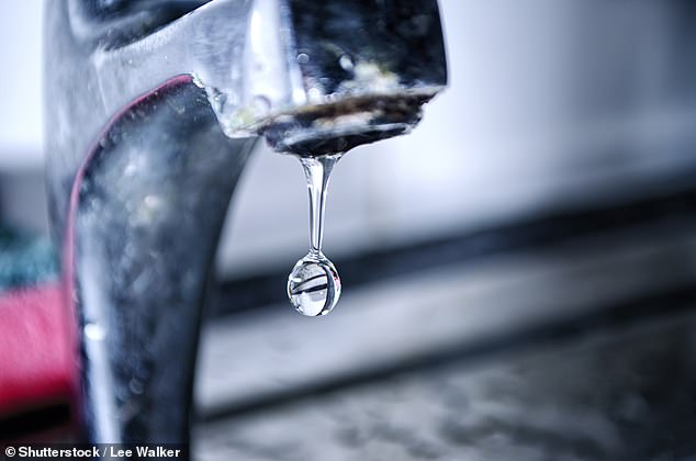 Paying the penalty: The water regulator Ofwat said that Southern Water had attempted to 'deceive customers'