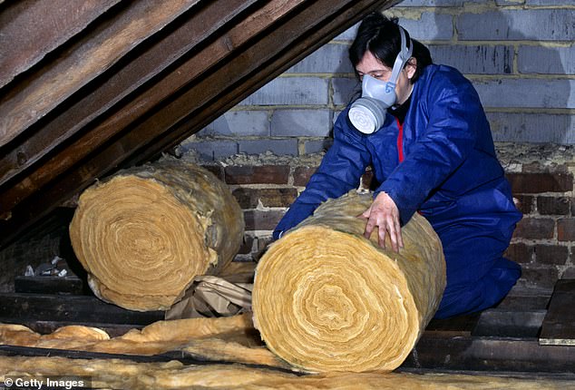The Government¿s Green Homes Grant scheme offers up to £5,000 towards energy efficiency improvements that could cut bills by up to £600 a year