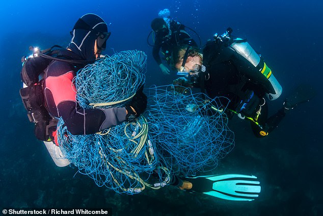 Floor mats and interior trims made with Econyl fibre, which is constructed out of recycled industrial plastic, fabric off-cuts from clothing manufacturers, fishing nets from the farming industry, and those abandoned in the ocean¿ known as ghost nets (pictured)