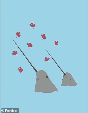 Narwhal: While a start-up unicorn is widely known, a narwhal version may not be as familiar