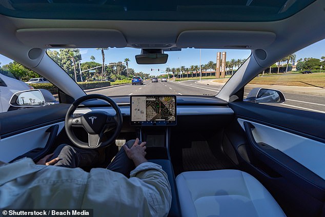 Autopilot criticised: A world's first comparative test of vehicle makers' driver assistance features found that Tesla performed well for safety but was wrongly encouraging owners to relinquish too much control to the car