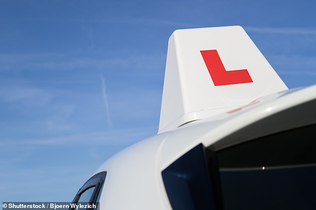 Driving instructors and motoring groups have warned ministers against the introduction of a graduated driving licence scheme to cut road casualties