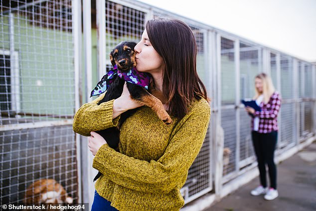 Local rescue centres like the RSPCA have been flooded with adoption requests creating long waiting lists. Some have been too impatient and are instead looking to adopt dogs from abroad