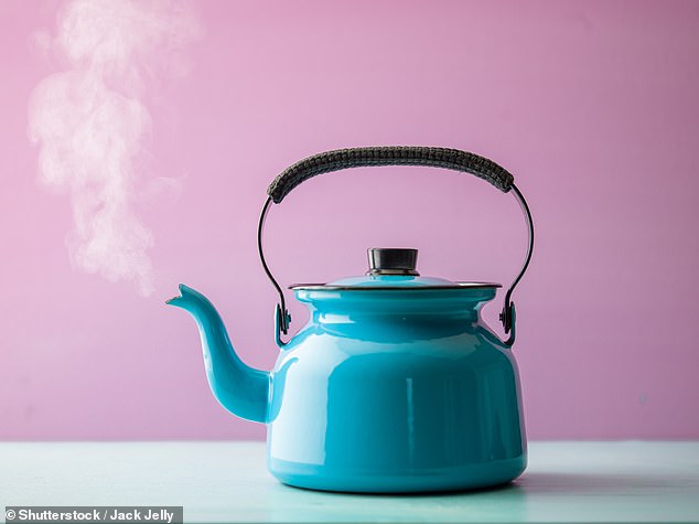 Strix leads the world in the design, manufacture and supply of kettle safety controls