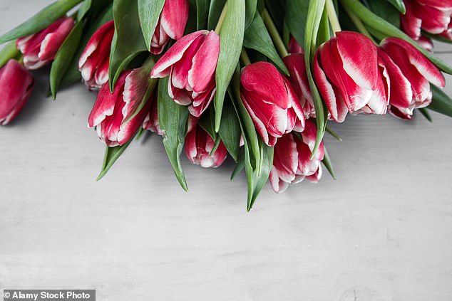 Flower power: Businesses have reported higher spending on plants, seeds and tools this year