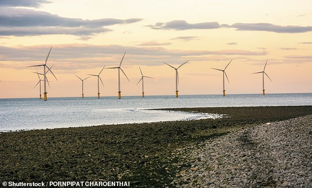 Energy promise: Boris Johnson wants to make wind farms power every home in the UK inside a decade