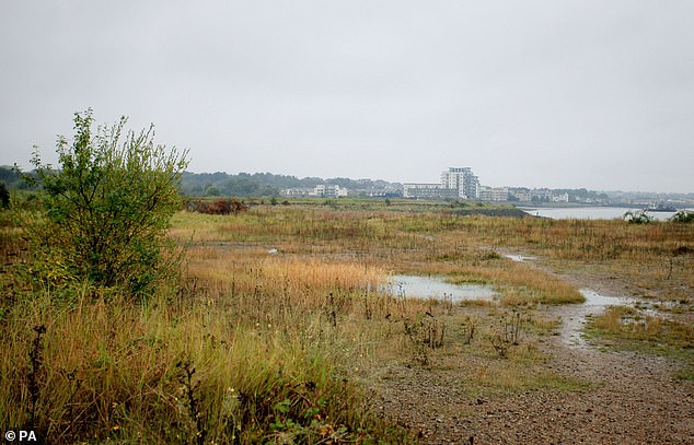 Swanscombe in Kent, one of the top hotspots outside London, has been in the news recently as the proposed site (pictured) for the London Resort, a Disneyland-style mega-theme park.