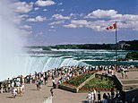 34228462-0-image-m-48_1602337229829.jpg
