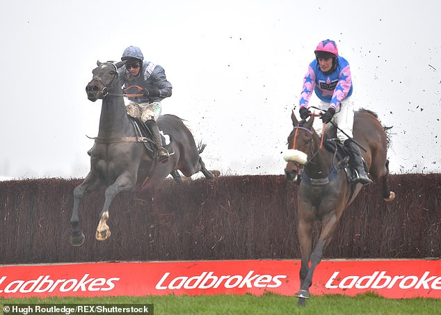 Ladbrokes Coral-owner GVC has been hit by tough regulations on four new gambling licences in Germany