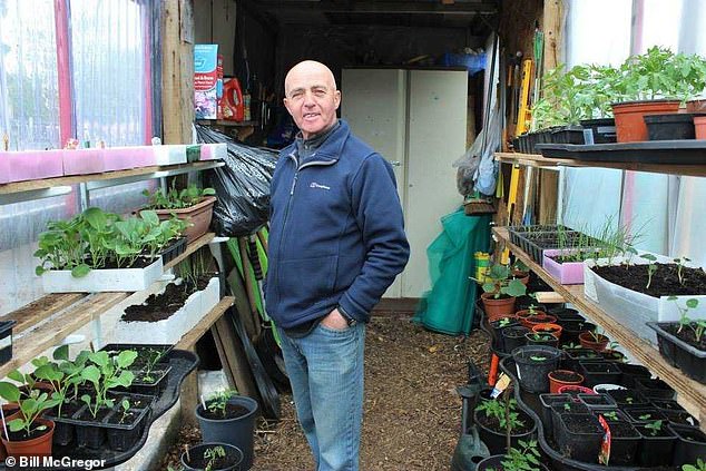 Bill McGregor, 71, from Dundee, pictured at his beloved allotment, was diagnosed with prostate cancer in January last year