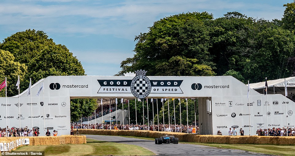 This year will see the first ever virtual Goodwood SpeedWeek, with a host of events and races that can be watched online. Above, a shot from the annual motoring event in 2019
