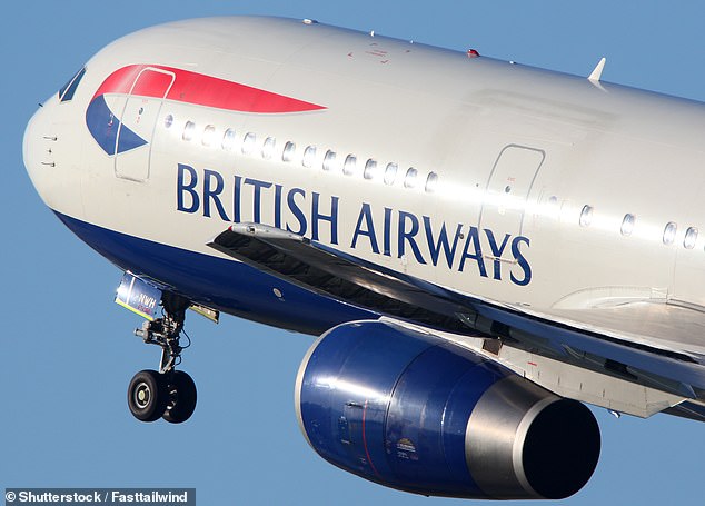 Making changes: Sources said that new BA chief executive Sean Doyle will operate fewer flights from Gatwick