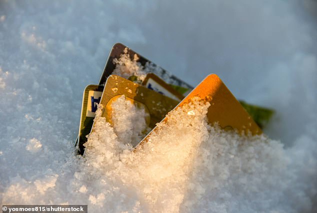 Borrowers were allowed to freeze their credit card and other payments in April for up to 6 months, although they still racked up interest on their borrowing
