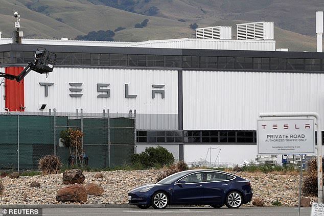 Tesla warns the new system 'may do the wrong thing at the worst time, so you must always keep your hands on the wheel and pay extra attention to the road'