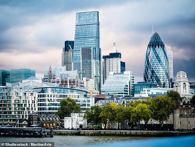 On the prowl: Private equity owners seek to use cheap debt to make as quick a turn as possible on their investment