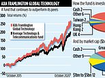 AXA FRAMLINGTON GLOBAL: Fund can grow on 250% returns