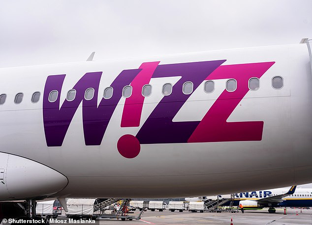 Expansion plans: The Hungarian airline agreed a €3billion financing package in August