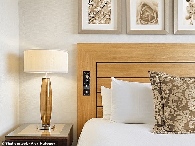 Fast-track: The 'Test & Rest' programme costs from £179 at the Sofitel and includes a test plus bed and breakfast